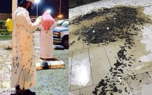 Semiz yapon ayollar bilan anal porno