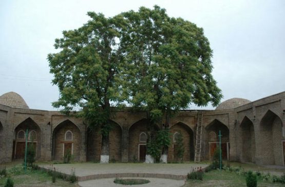 Mushuk kattasidan yorilib ketyapti Eniston xxx rasmlar