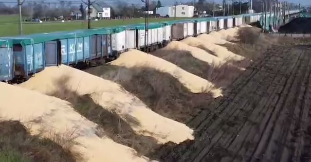 Polshada «noma’lum jinoyatchilar» 8 ta vagonning eshiklarini ochib, Ukrainadan eksport qilinayotgan makkajo‘xori donlarini yerga to‘kib yuborgan