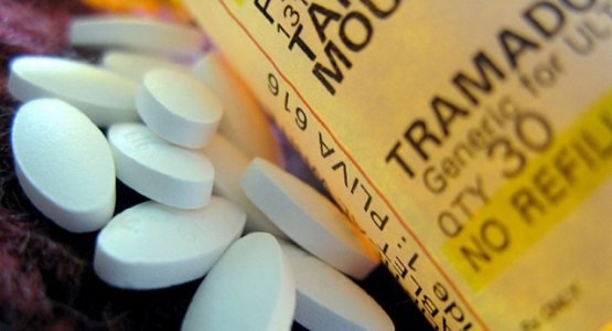 Катта миқдордаги “Трамадол” таблеткаси савдосининг олди олинди