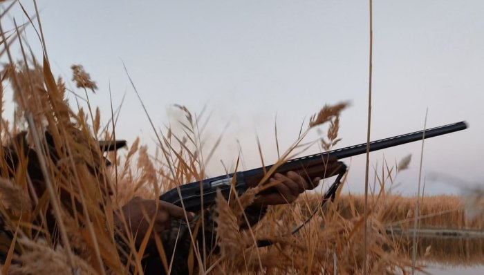 Jizzaxda ovchi o‘z sherigini yovvoyi to‘ng‘iz deb o‘ylab otib qo‘ydi