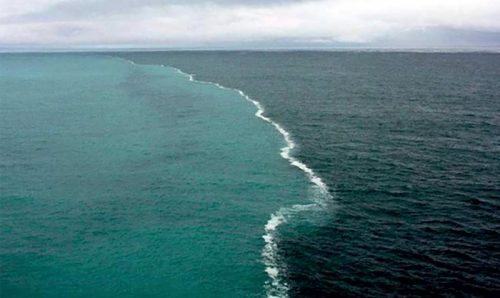 Yalangoch qizlar gif