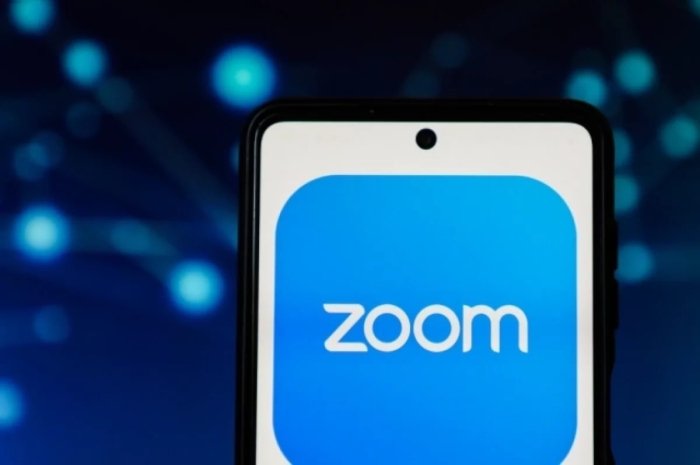 Франция АҚШга тегишли бўлган ZOOM видеоконференциядан воз кечмоқчи
