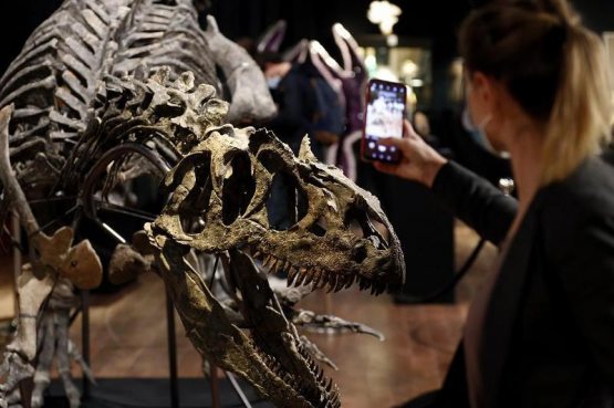Parijda dinozavr skeleti 3 million yevroga sotildi 