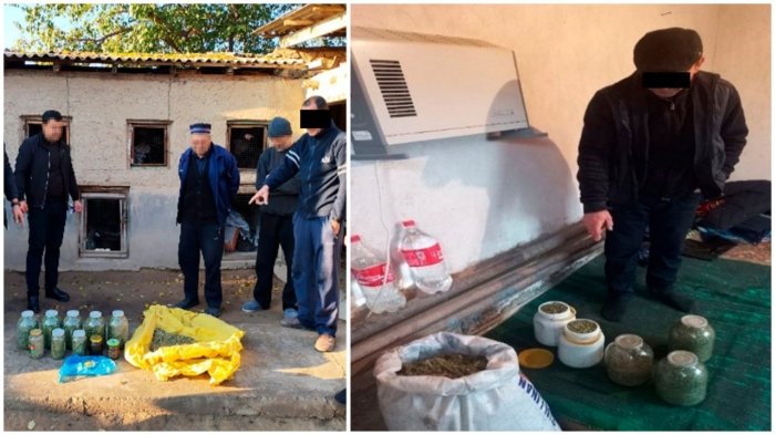 Toshkent viloyatida qariyb 12,3 kg giyohvandlik vositalari ashyoviy dalil sifatida olindi