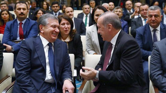 Shavkat Mirziyoyev Erdog‘an bilan qo‘ng‘iroqlashdi