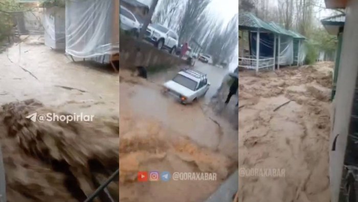 Кучли ёмғир сабаб Паркентдаги Сўқоқ қишлоғини сув босди
