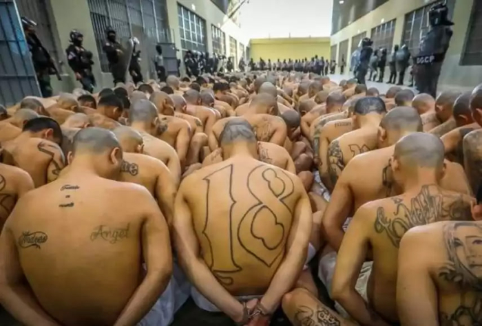 Mulatta qulni xor qilib, uni mushuk va anusni yalashga majbur qiladi