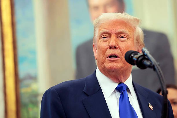 Дональд Трамп UFC 316 турнирига бормоқчи Дональд Трамп UFC 316 турнирига бормоқчи