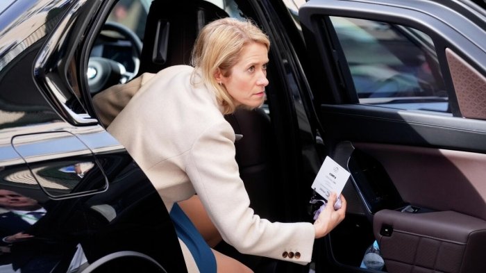 Каллас ЕИ кичик давлатлардан иборат эканлигини эслатиб ўтди