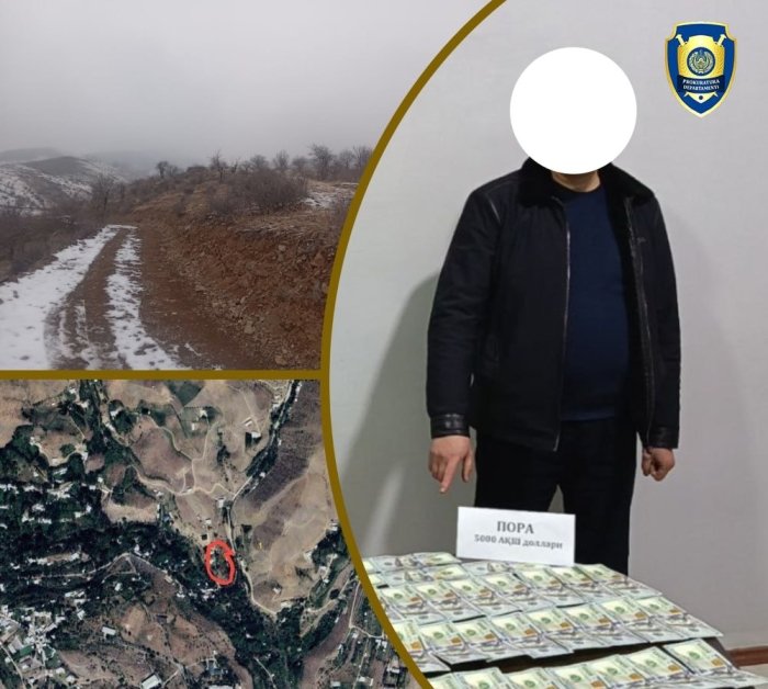 Наманганда ўрмон хўжалиги масъул шахслари ва кадастр мутахассиси ушланди!