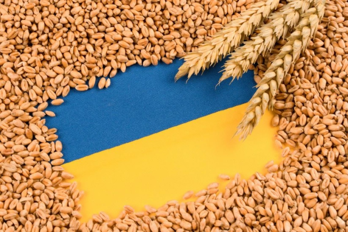 Moldova Ukrainadan don importiga cheklovlarni olib tashlaydi.