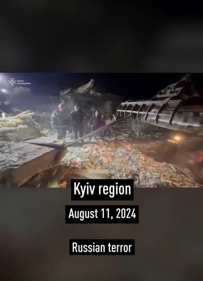 Korpa ostidagi mushuk