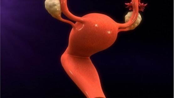 Svingerlar jinsiy aloqaga kirishish