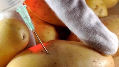 ГМО-картошка яратган шахс энди унинг одамлар саломатлигига таъсиридан хавотирда