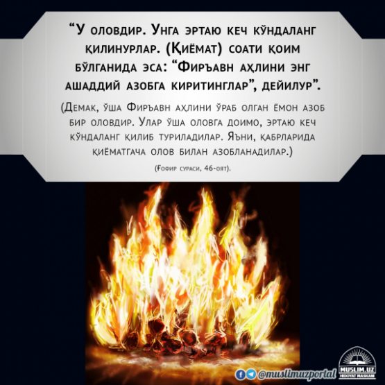 Авто рақам танлаш