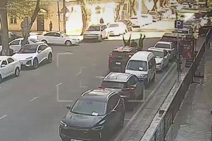 Тошкентда 4 кишини уриб юборган Tracker ҳайдовчисига жиноят иши қўзғатилди