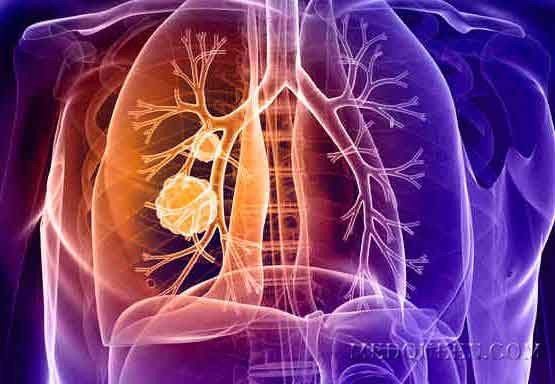 Brothers studiyasidan qattiq porno filmlarni tomosha qiling