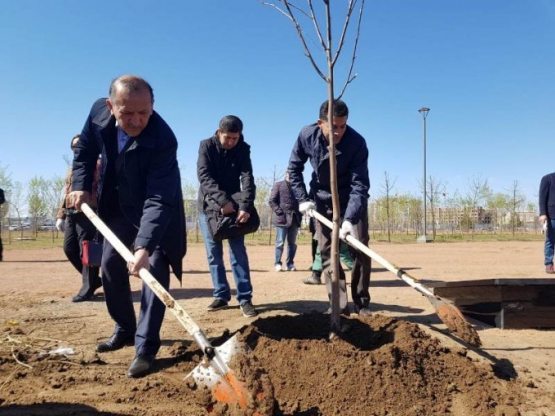 Қозоғистон пойтахтида Ақтўбеда ҳалок бўлган ўзбекистонликлар хотирасига 52 туп дарахт ўтқазилди