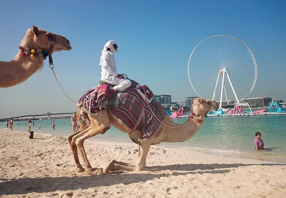 Rossiya brendlari Amirliklarga joylashdi