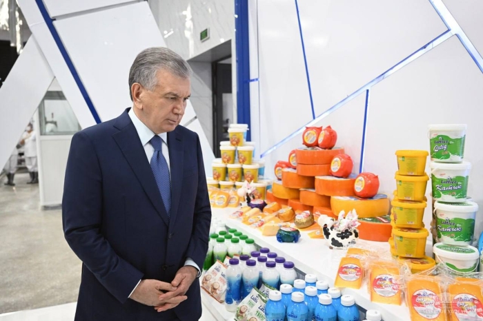 Президент Бухородаги кластер фаолияти билан танишди