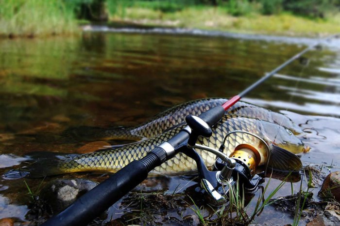 Ov va baliq ovlash qoidalarini buzish ma’muriy javobgarlikka sabab bo‘ladi