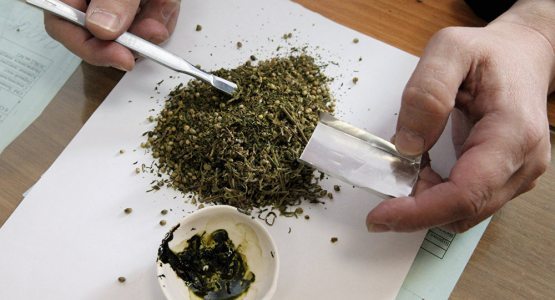 Колумбияда хавфсизлик кучлари томонидан икки тонна марихуана мусодара қилинди