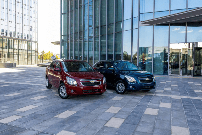 Bugun Cobalt uchun kontraktasiya ochiladi