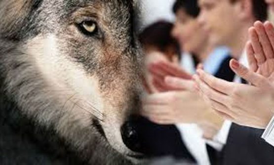 Қўрқиб яшаган халқдан буюклар чиқмайди