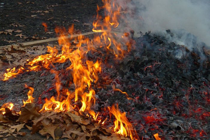 O‘zbekistonda xazon yoqqanlar qancha jarima to‘laydi?