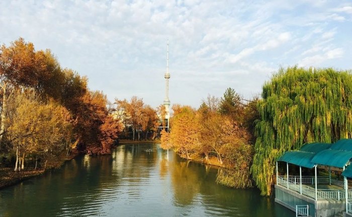 Kuzning navbatdagi kunlari qanday haroratda o‘tadi?