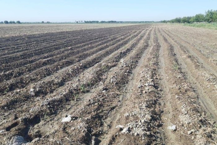 Samarqand va Qashqadaryo viloyatlarida yer maydonlarini noqonuniy sotish holatlari aniqlandi