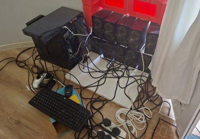 Andijonda elektr energiyasidan noqonuniy foydalangan "Mayning ferma" fosh etildi