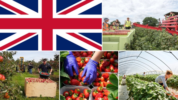 Buyuk Britaniyada bo‘sh ish o‘rinlari taklif etilmoqda