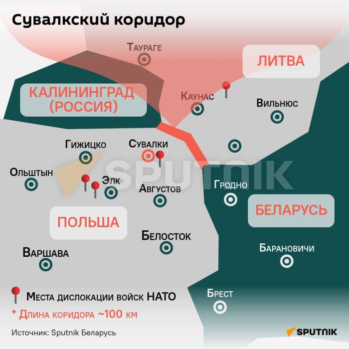 Польша ихтисослашган янги сапёр баталонини яратади Польша ихтисослашган янги сапёр баталонини яратади