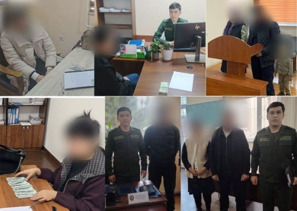 Jizzaxda 22,6 mlrd aliment undirildi, 122 nafar qarzdor topildi