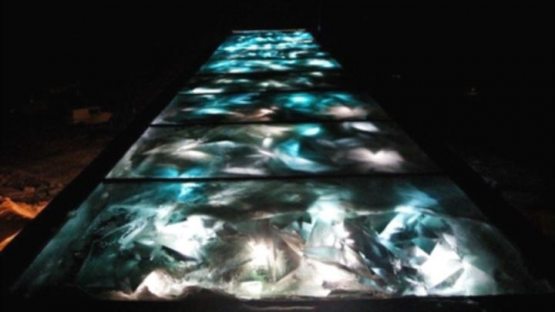 Охир замон учун захира: Ўсимликлар учун Нуҳ кемаси