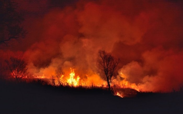 Францияда йирик ўрмон ёнғинлари бошланди