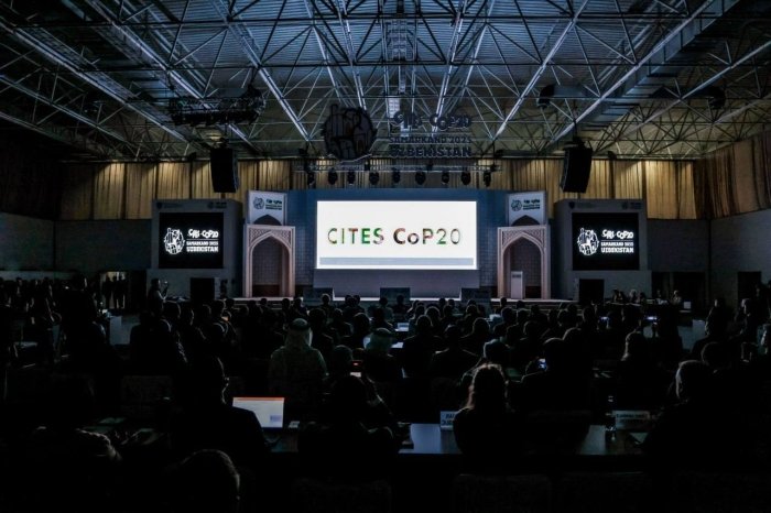 CITES CoP20: Самарқандда навбатдаги нуфузли экологик конференция бошланди