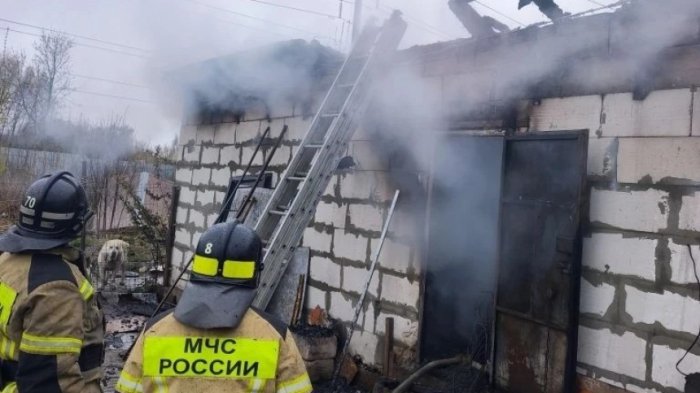 Нижний Новгородда рўй берган ёнғинда 200 та ит ҳалок бўлди
