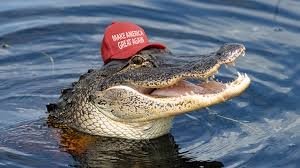 AQSh «Alligator Alkatras» markazini yopmoqchi