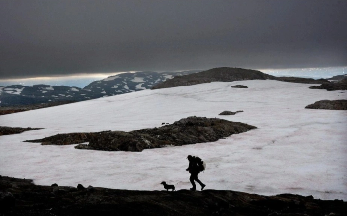Брейфонн музлиги йўқ бўлиб кетиши мумкин