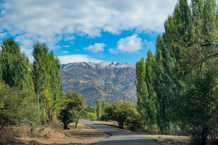 121 ta tog‘ va cho‘qqilar nomlari davlat tili me’yorlariga moslashtirildi va rasmiy tasdiqlandi