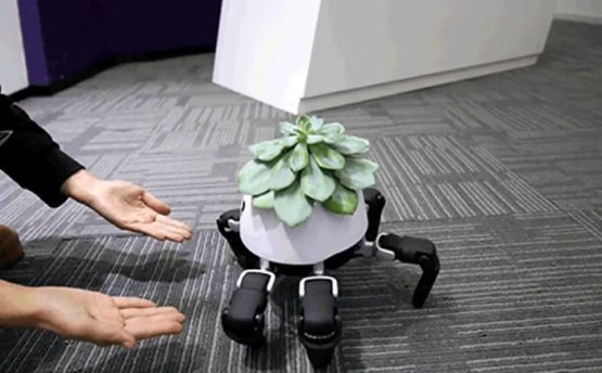 Роботларнинг дастидан миллионлаб одам ишсиз қоладими?