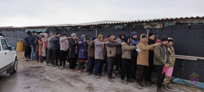 Migrantlarga nisbatan navbatdagi reyd: “o‘rdak yurish” amaliyoti yana qo‘llanildi