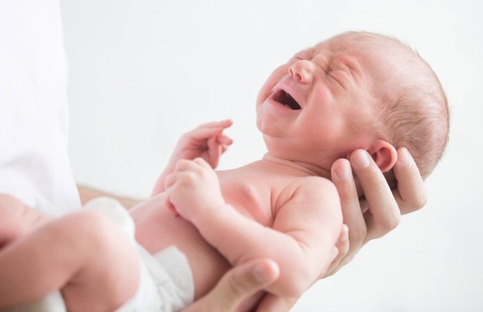 Yil boshidan buyon O‘zbekistonda tirik tug‘ilganlar soni 405,5 ming kishini tashkil qilgan