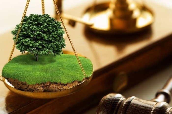 Kadastr sohasida qonunni buzganlar javobgarlikka tortilmoqda