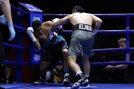 Элнур Абдураимов профессионал боксдаги учинчи жангида ҳам рақибини нокаутга учратди (видео)