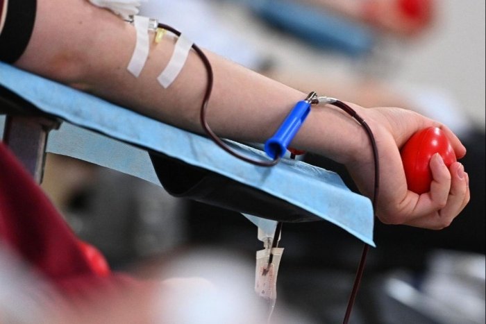 O‘zbekistonda autodonorlik tartibi rasman joriy etildi