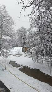 Chorvoqqa ketish yo‘lida harakat tezligi cheklanadi